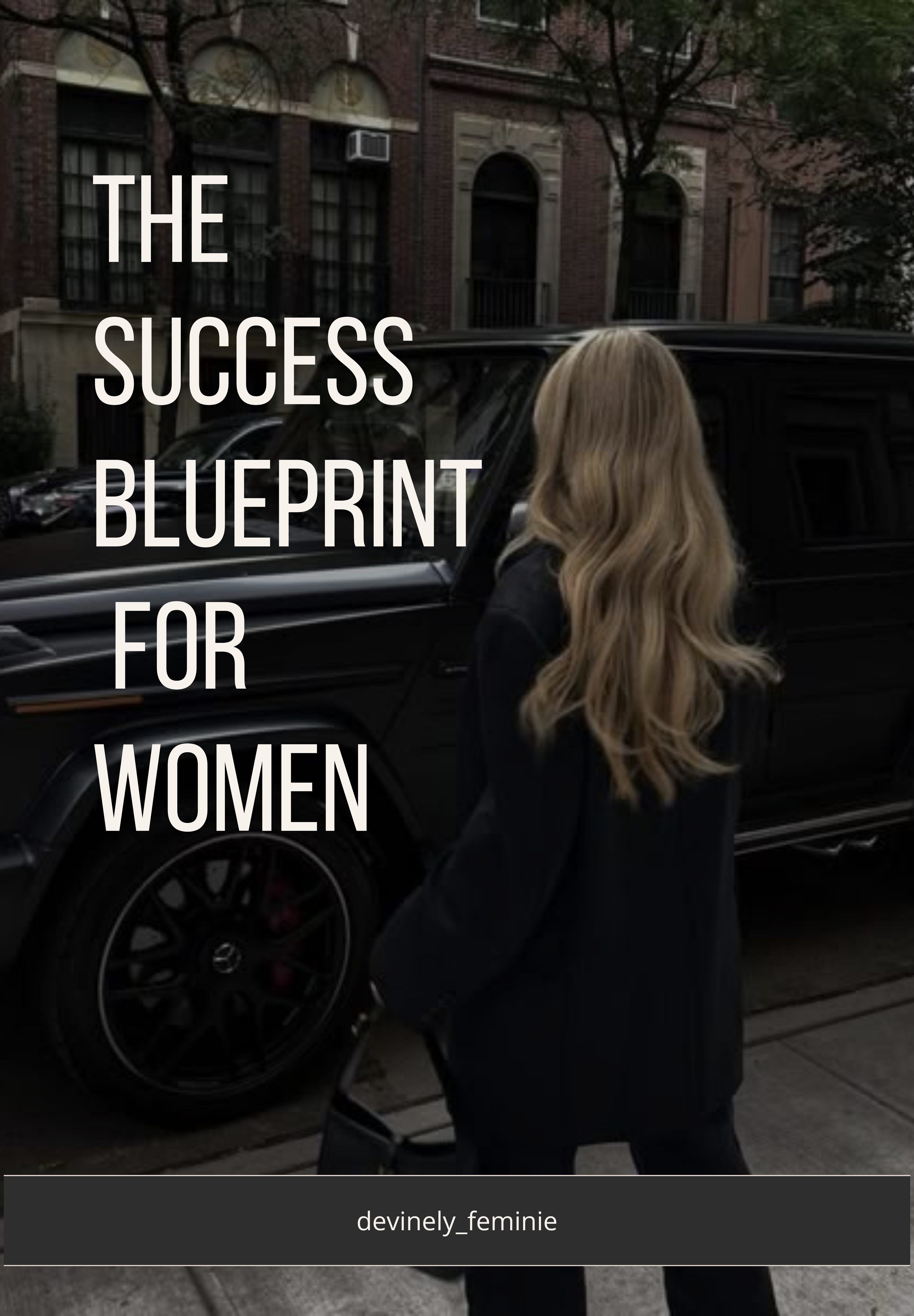 The success Blueprint For Women